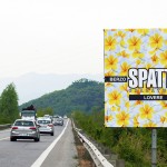 Cartelloni pubblicitari stradali-pubblicam-pubblicità valle camonica